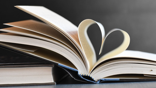 Plus de 20 000 documents à 1 euro : la Bibliothèque de Lyon organise sa grande braderie annuelle ce dimanche