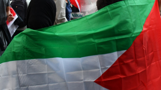 Villeurbanne : surpris en train de peindre un drapeau palestinien sur un mur Villeurbanne : surpris en train de peindre un drapeau palestinien sur un mur