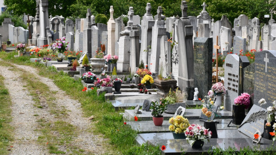 "À votre écoute" : la Ville de Lyon donne la parole à ses habitants sur les cimetières