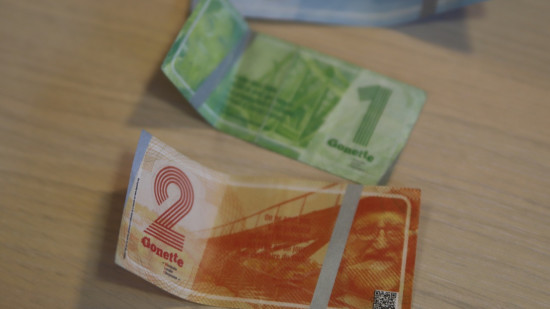 Conseil de la Métropole de Lyon : après la polémique, la question de la Gonette fait débat entre les élus