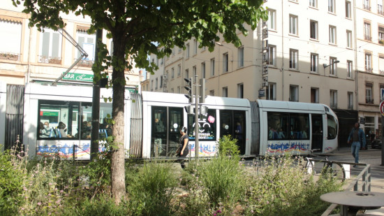 Lyon : 2000 arbres distribués gratuitement pour soutenir la végétalisation