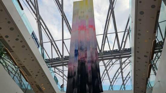 C'est quoi ces immenses toiles accrochées dans deux centres commerciaux de Lyon ?