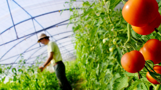 Près de Lyon : la Métropole lance un projet d’envergure pour la ZAC de la Poterie avec une ferme métropolitaine