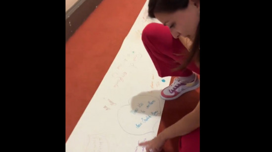 Banderole à la gloire de Marie-Charlotte Garin réalisée par des écoliers à Lyon : le rectorat enquête Banderole à la gloire de Marie-Charlotte Garin réalisée par des écoliers à Lyon : le rectorat enquête