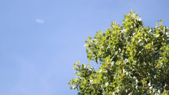 Météo : jusqu’à 35 degrés en ressenti ce mercredi à Lyon