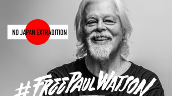 Lyon : l’ONG Sea Shepherd se réunit une nouvelle fois ce samedi en soutien à son fondateur