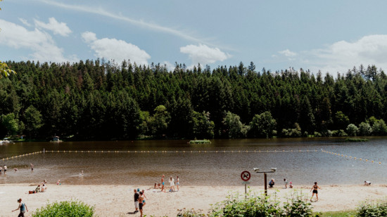 Trop de cyanobactéries dans l'eau : la baignade encore suspendue au Lac des Sapins