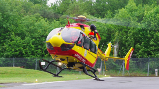 Dans la région : un bébé mortellement attaqué par le chien de sa grand-mère