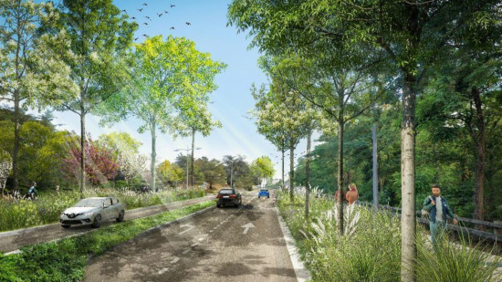 Près de Lyon : des travaux de réaménagement débutent sur le boulevard Yves Farge, plus de 300 arbres plantés