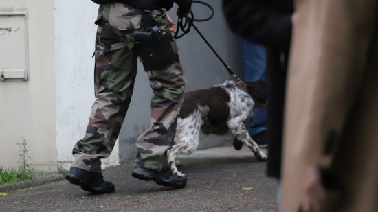 Près de Lyon : deux enfants fuguent, un important dispositif déployé pour les retrouver Près de Lyon : deux enfants fuguent, un important dispositif déployé pour les retrouver
