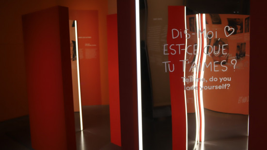 Lyon : A nos amours, 4e exposition temporaire la plus visitée du musée des Confluences