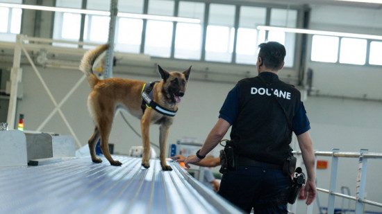 Lyon Saint-Exupéry : un vaste réseau de faux documents démantelé entre la France et la Turquie Lyon Saint-Exupéry : un vaste réseau de faux documents démantelé entre la France et la Turquie