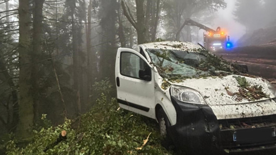 Près de Lyon : accident spectaculaire à Joux, des troncs d’arbres dévalent la montagne Près de Lyon : accident spectaculaire à Joux, des troncs d’arbres dévalent la montagne