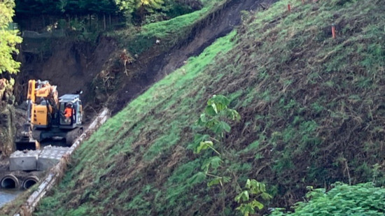 Ligne TER Lyon-Saint-Etienne à l'arrêt : les socialistes demandent à la Région un "service de transport alternatif efficace"