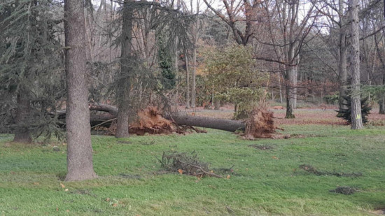 Tempête Bert : des rafales à plus de 140 km/h enregistrées dans le Rhône, une centaine d'interventions réalisées