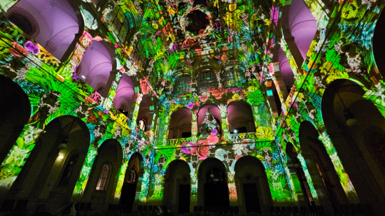 Lyon : les origines du monde au cœur d'un spectacle lumineux au Palais de la Bourse (PHOTOS)