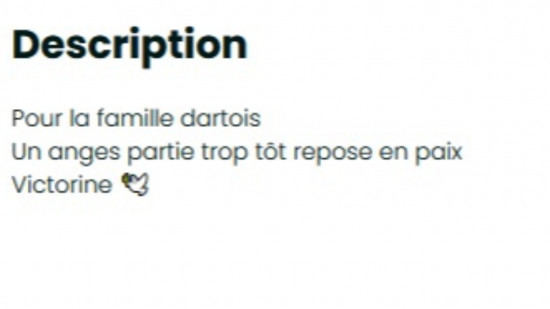 Fausse cagnotte en ligne : la famille de Victorine Dartois porte plainte