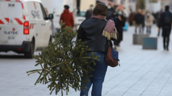 Métropole de Lyon : où jeter son sapin de Noël après les fêtes ? Métropole de Lyon : où jeter son sapin de Noël après les fêtes ?