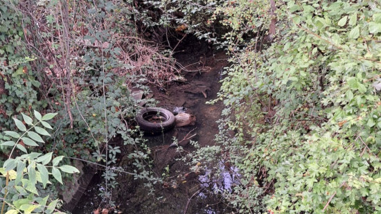 "Petit ruisseau, gros chantier" : comment la Métropole de Lyon va dépolluer la mythique Rize