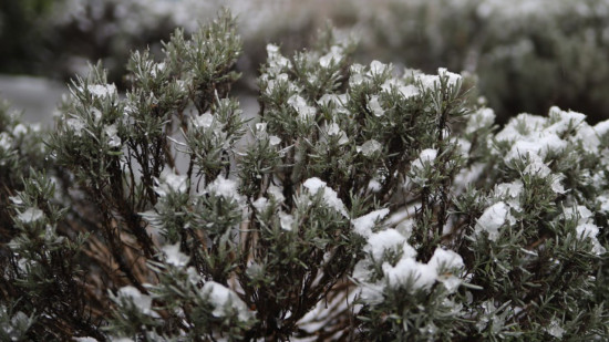 Neige et verglas : le Rhône en vigilance jaune ce vendredi matin