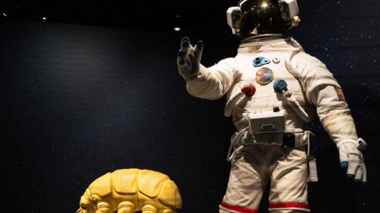 Avec "Trop forts", le musée des Confluences nous plonge en milieux extrêmes