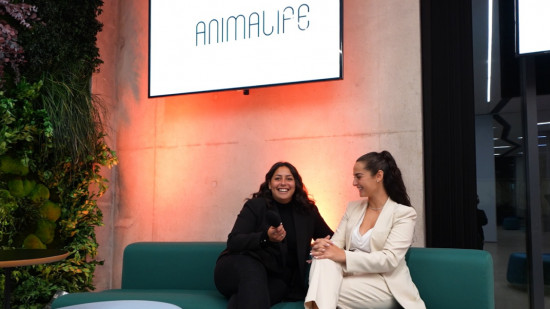 Deux Lyonnaises imaginent le Doctolib pour animaux