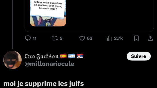 “Moi je supprime les Juifs” : un Lyonnais de 21 ans signalé pour des propos antisémites sur X