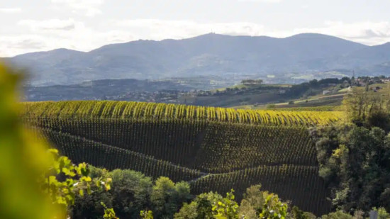 Vienne Condrieu Tourisme : le Pavillon du tourisme fête ses 10 ans, de nombreuses nouveautés arrivent