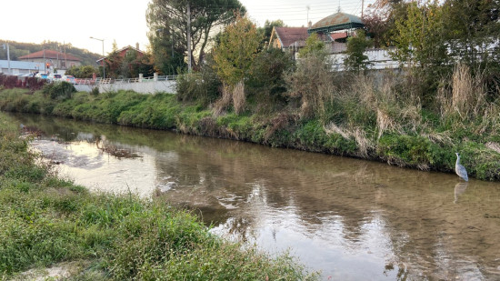 Près de Lyon : un homme tente d’échapper à la police et manque de se noyer