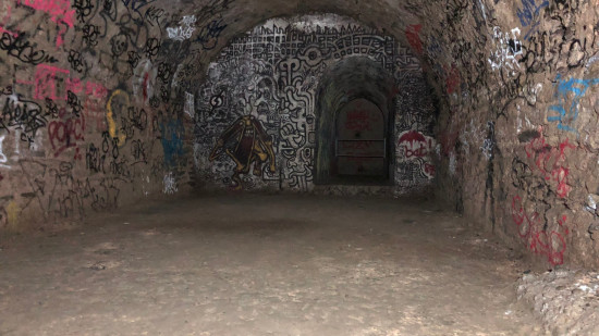 Les arêtes de poisson bientôt classées monument historique de Lyon ?