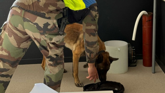 Un contrôle surprise inédit, certains élèves ont eu chaud : que s’est-il passé au lycée Sandar de Limonest ?