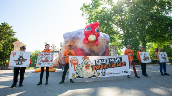 Lyon : c'était quoi ce poulet géant devant le parc de la tête d'Or ? Lyon : c'était quoi ce poulet géant devant le parc de la tête d'Or ?