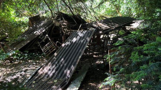 Une vieille décharge sauvage dans le parc de la Tête d’Or à Lyon ? Cet élu alerte les Verts pour agir