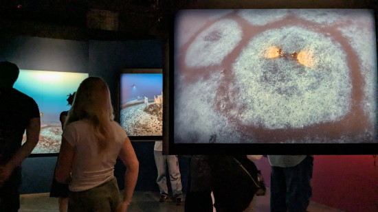 Le mystère des anneaux de la Méditerranée percé : plongez dans l'expo temporaire du musée des Confluences !