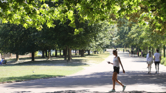 Trampoline, parquet de danse, nichoirs à chauves-souris : quels projets retenus dans le nouveau budget participatif de la Ville de Lyon ?