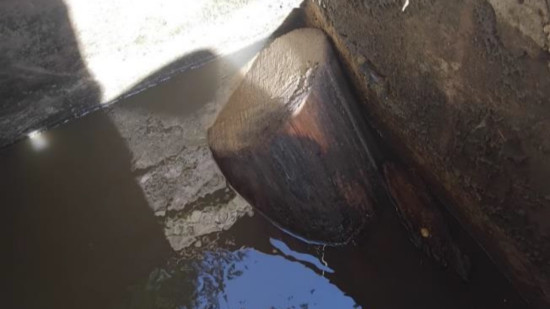 Pollution de l’Yzeron : des milliers de poissons morts, l’acte de malveillance privilégié