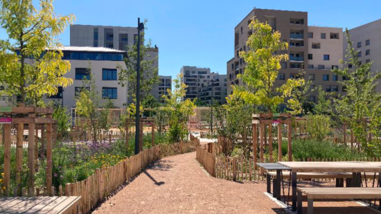Lyon : la place Vaclav Havel, symbole de tout ce que les écologistes voulaient bien faire durant le mandat ?