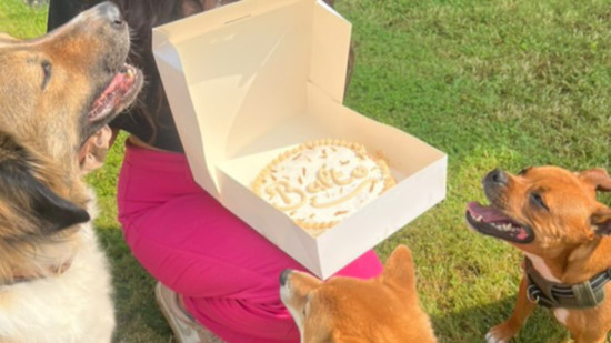 "J’en avais marre d’avoir un paquet de croquettes qui empestait dans mon sac" : cette Lyonnaise livre des repas à vélo pour les chiens