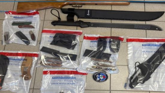 Près de Lyon : les gendarmes interviennent pour des violences intrafamiliales, ils découvrent un arsenal à la Rambo Près de Lyon : les gendarmes interviennent pour des violences intrafamiliales, ils découvrent un arsenal à la Rambo