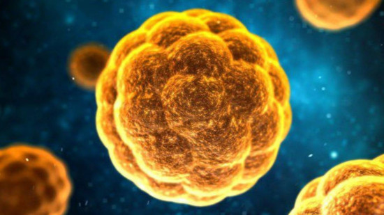 Lyon : une quarantaine de personnes infectées par le virus de l’hépatite A, l’ARS fait de la prévention