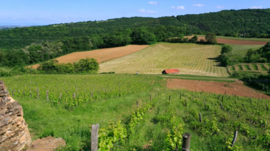 Cinq balades dans la Métropole de Lyon à tester cet été ! Cinq balades dans la Métropole de Lyon à tester cet été !
