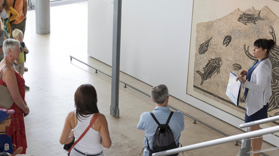Canicule : le musée gallo-romain de Saint-Romain-en-Gal moins cher