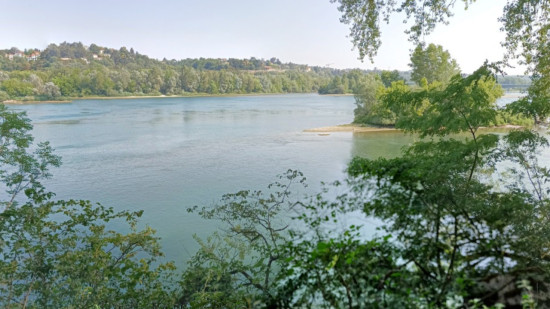 Villeurbanne : il se jette à l'eau pour sauver son chien, un homme se noie