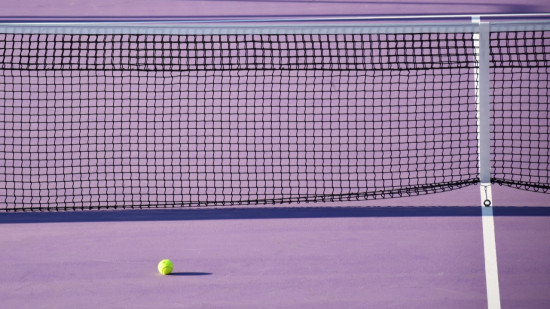 Lyon : un tournoi de tennis emblématique va déménager à la LDLC Arena en 2026 !