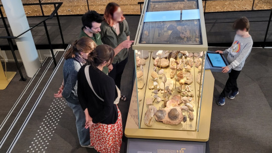 Trois stagiaires l'accusent de harcèlement sexuel : le directeur d'un musée près de Lyon écarté