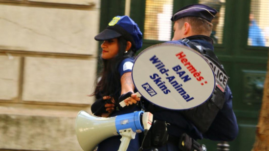 Une militante lyonnaise de PETA en garde à vue : "Ce ne sont pas ceux qui dénoncent la cruauté de manière non-violente qui devraient être punis"