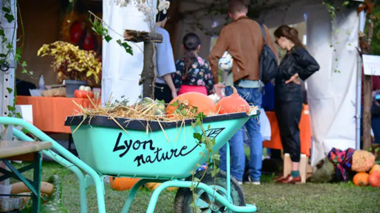 Lyon : c'est quoi ce festival des courges à la Tête d'Or ce week-end ?