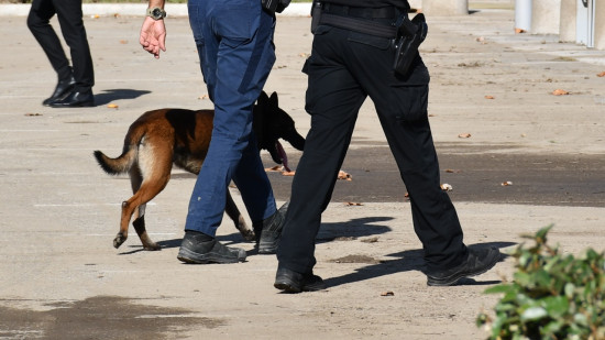 Des chiens renifleurs dans les lycées ? La Région Auvergne-Rhône-Alpes le réclame, l'Etat marque son territoire