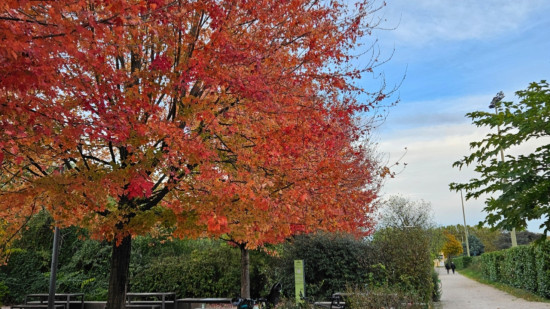 Lyon fait une entrée fracassante au classement des villes les plus instagrammables en automne Lyon fait une entrée fracassante au classement des villes les plus instagrammables en automne