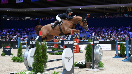 Equita Lyon : 31e édition du salon hippique, la passion pour le cheval galope toujours 